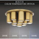 Beyond Tamara LED 19.1 inch Aged Brass Flush Mount Ceiling Light