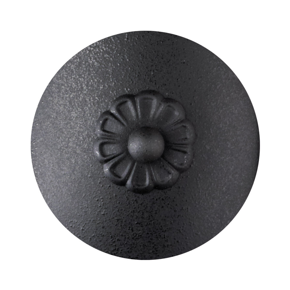 Esmery 8 Light Ferro Black Chandelier Ceiling Light in Optic