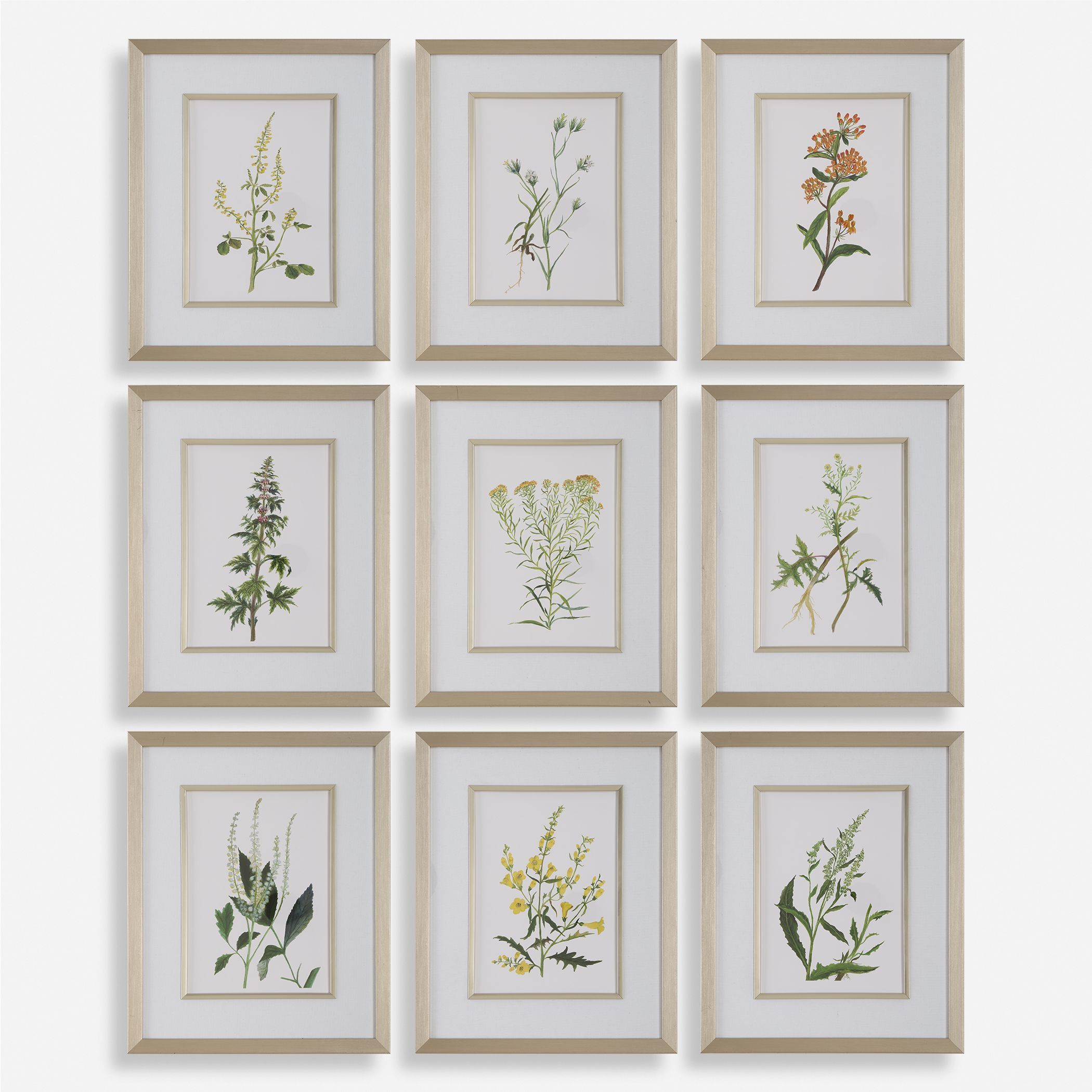 Botanical Flowers 21.38 X 17.38 inch Framed Prints, Set of 9