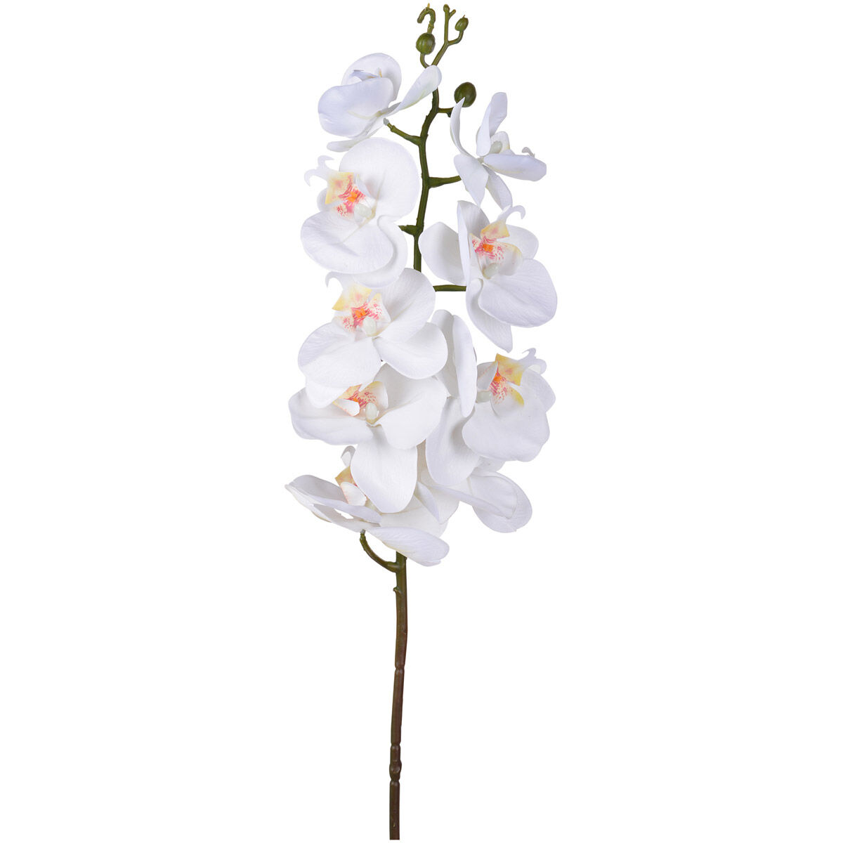 Real Touch 37.80 inch  X 5.10 inch Artificial Flower & Plant