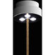 Forever Flora LED 4.25 inch Polished Chrome Pendant Ceiling Light in Gold Rope, Gold Rope