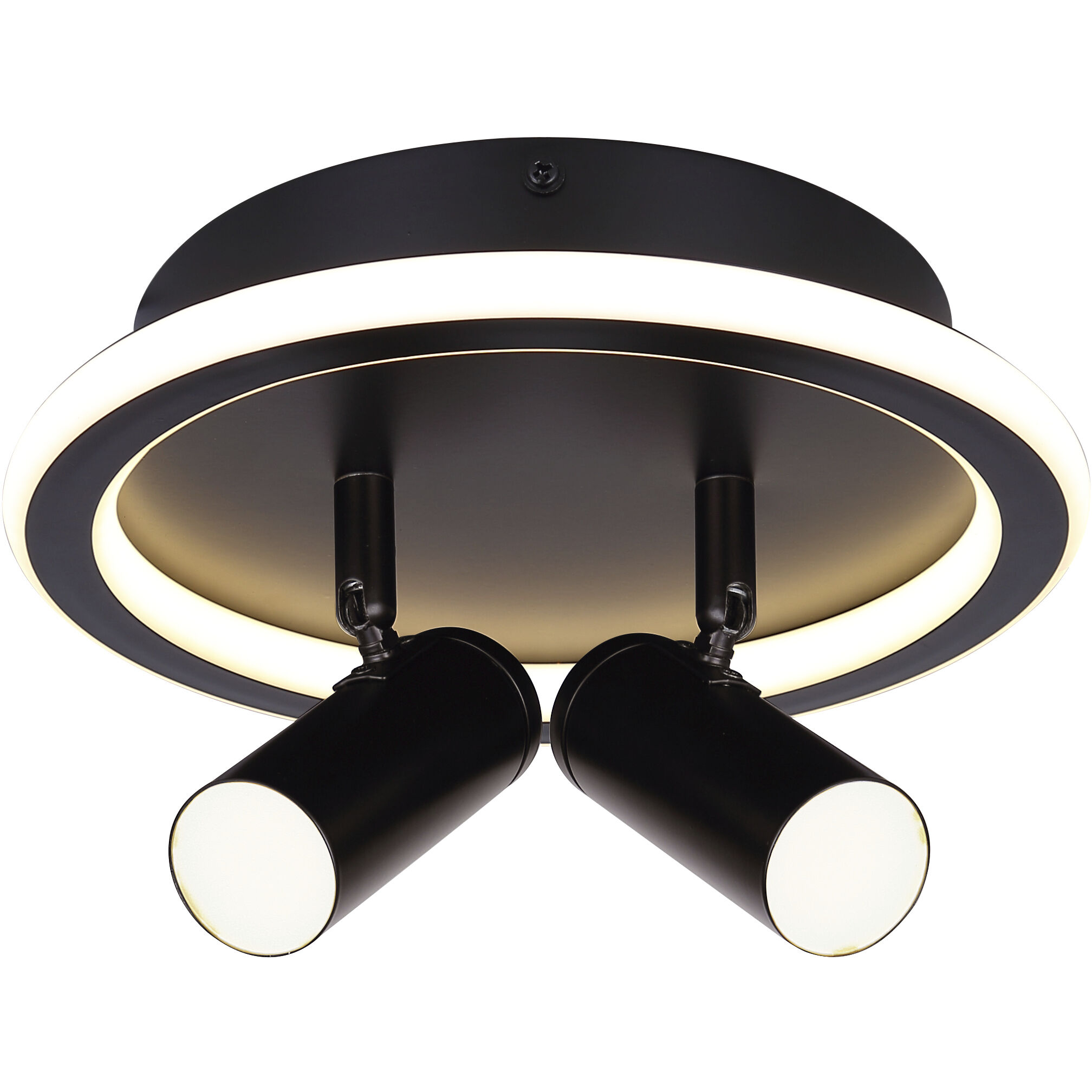 Denver Black Track Lighting Ceiling Light