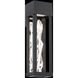 Beyond Polar LED 16 inch Black Outdoor Wall Light, Beyond