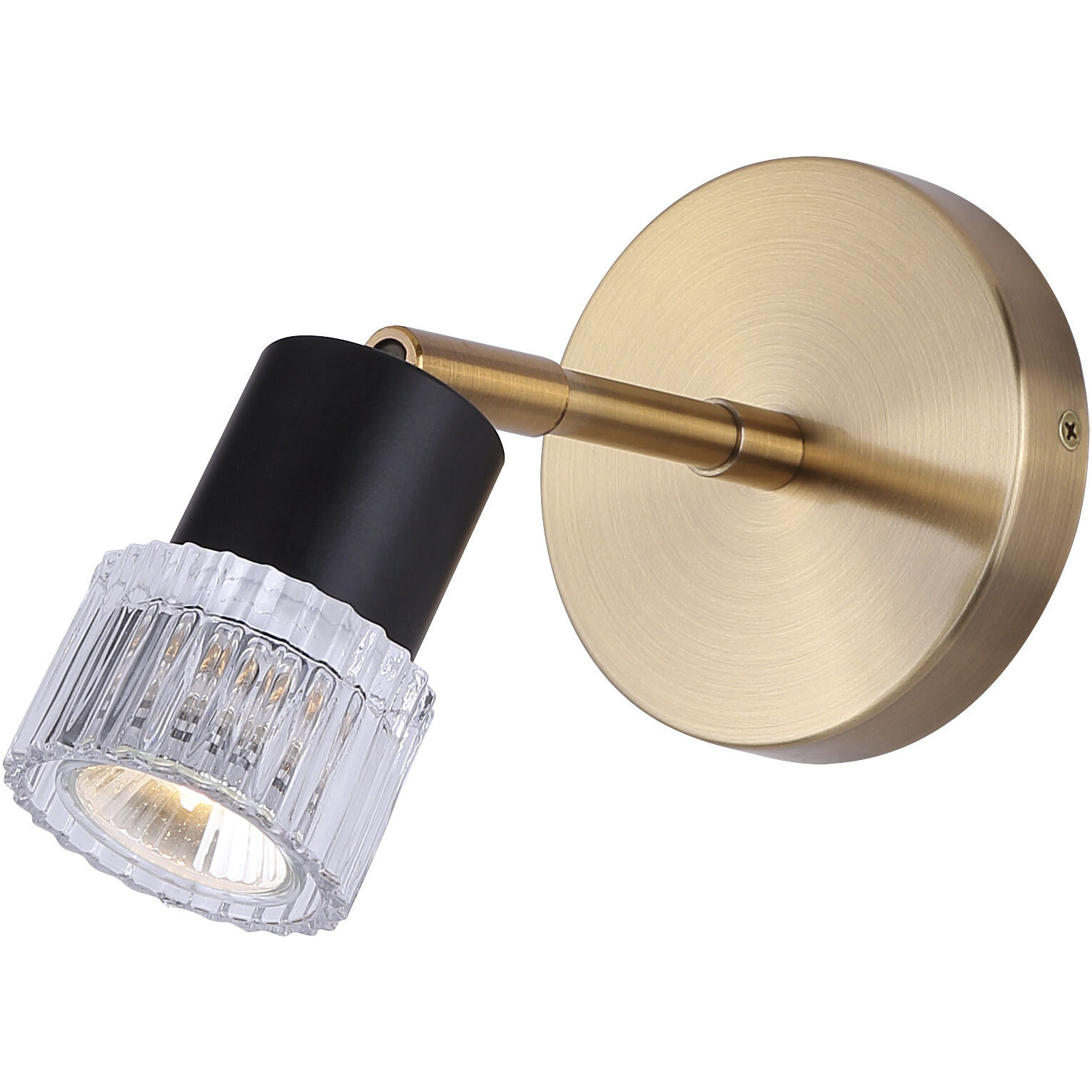 Elsee 1 Light Black/Gold Track Lighting Ceiling Light