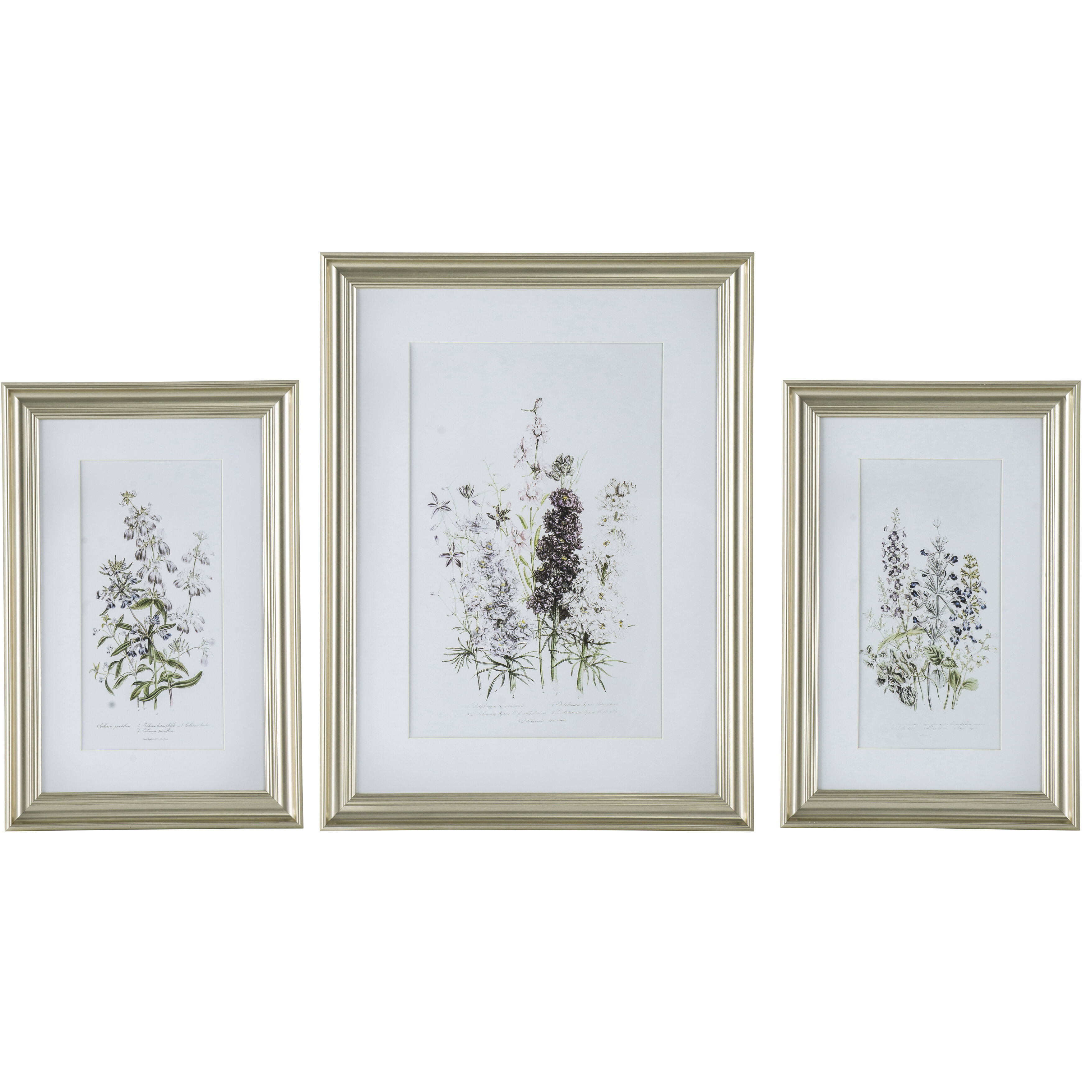 Floral Multi Color Wall Art, Set of 3
