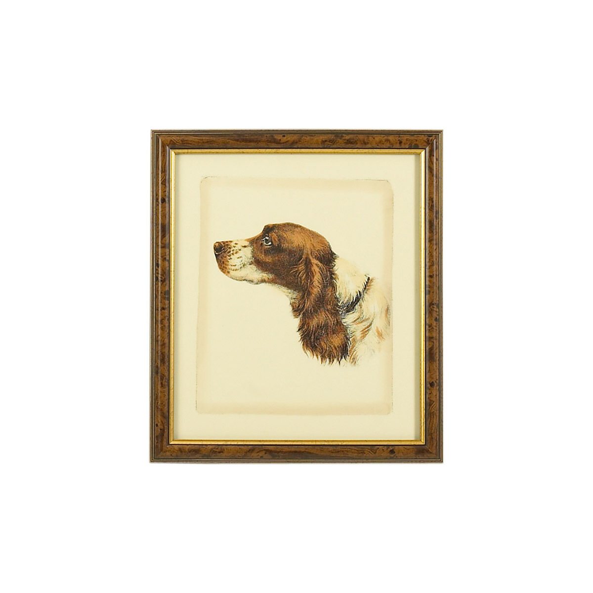 Chelsea House 18 X 16 inch Print