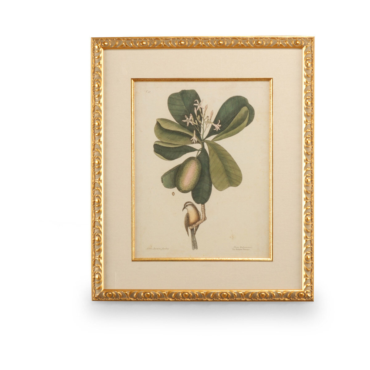 Chelsea House 26 X 22 inch Print