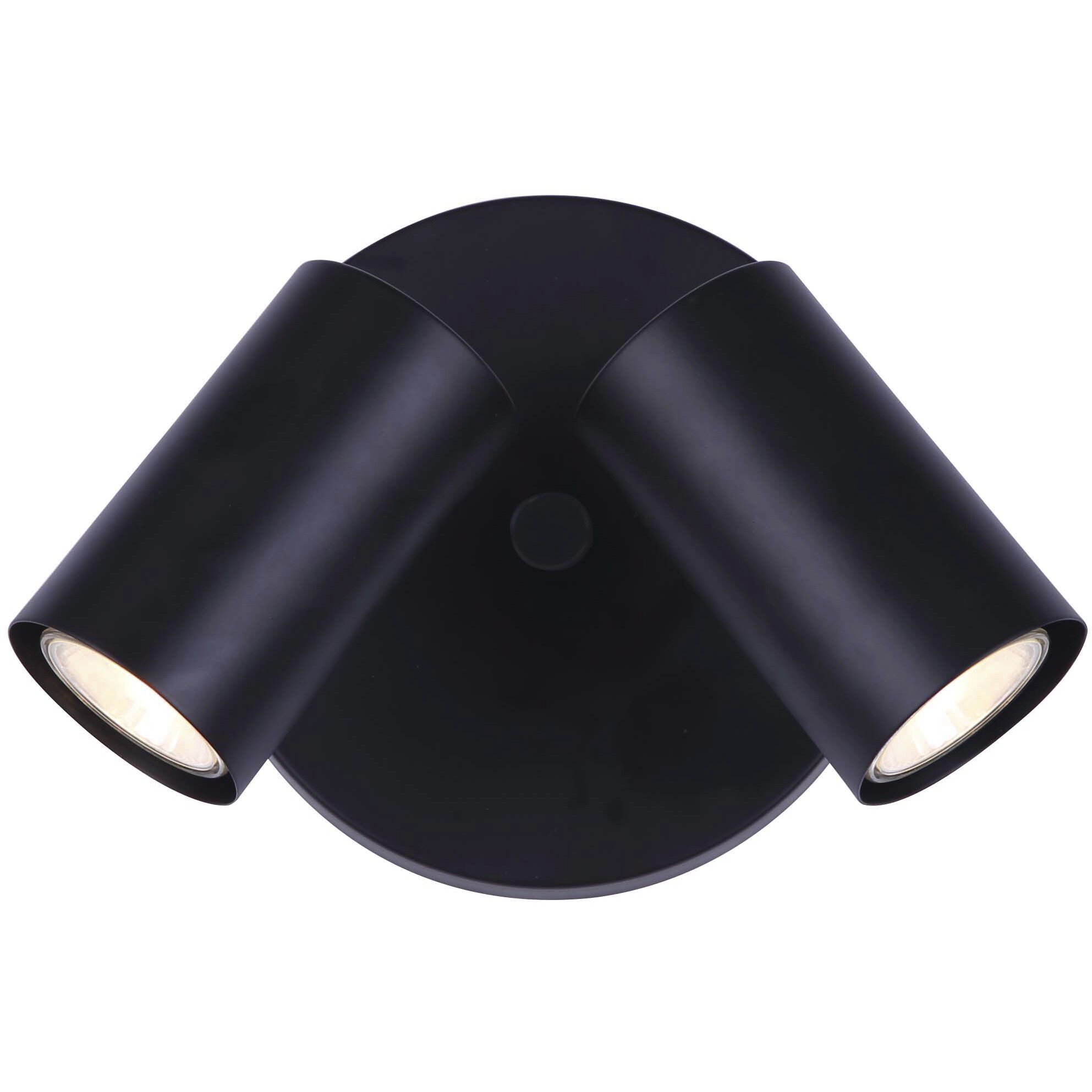 Madison 2 Light 10 inch Black Ceiling/Wall Light Ceiling Light