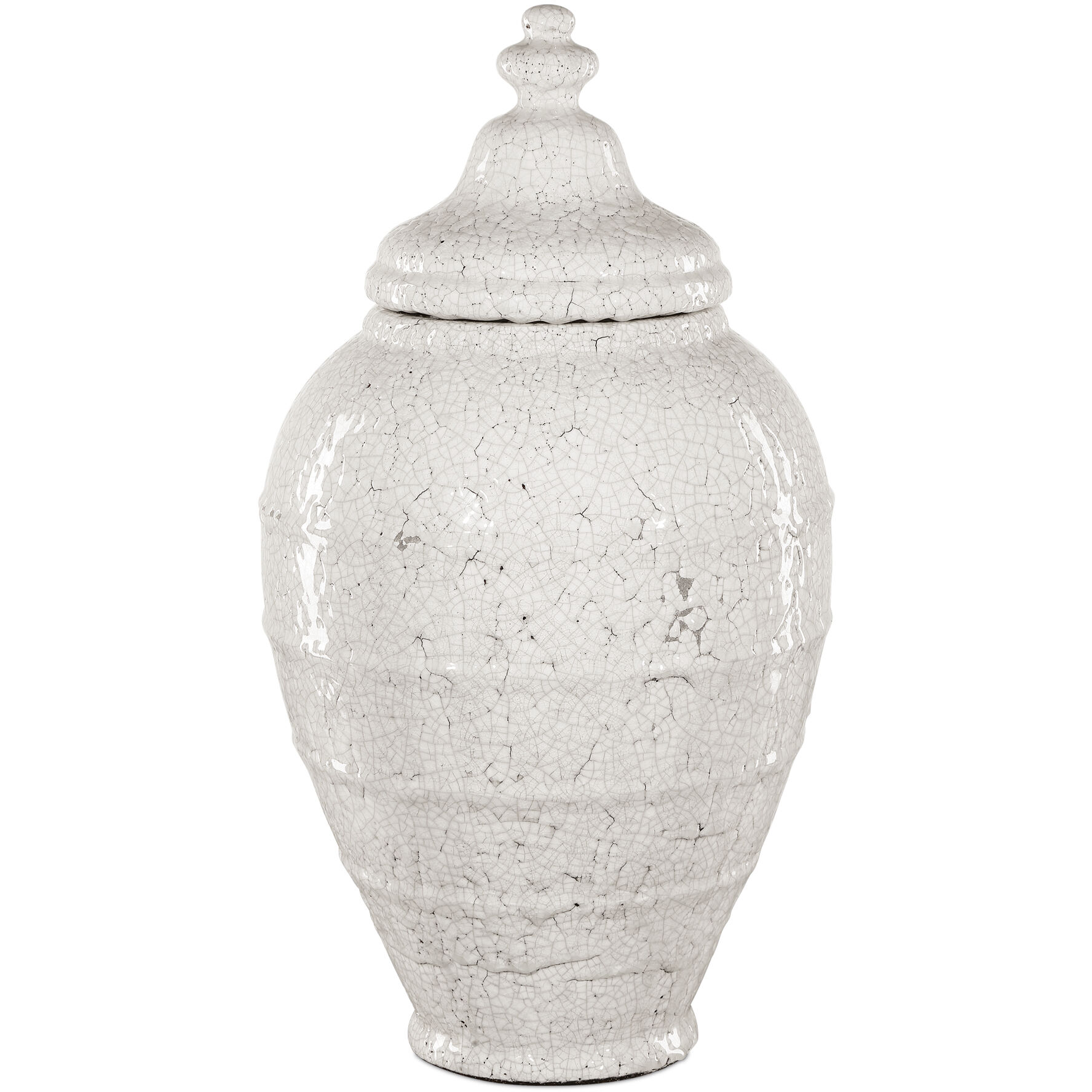 Virginal 23.5 X 12.5 inch Jar, Medium