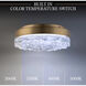 Beyond Bramble LED 11.88 inch Aged Brass Flush Mount Ceiling Light