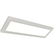 Flush Mounts