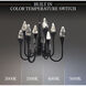 Beyond Plumeria LED 34.13 inch Black Pendant Ceiling Light