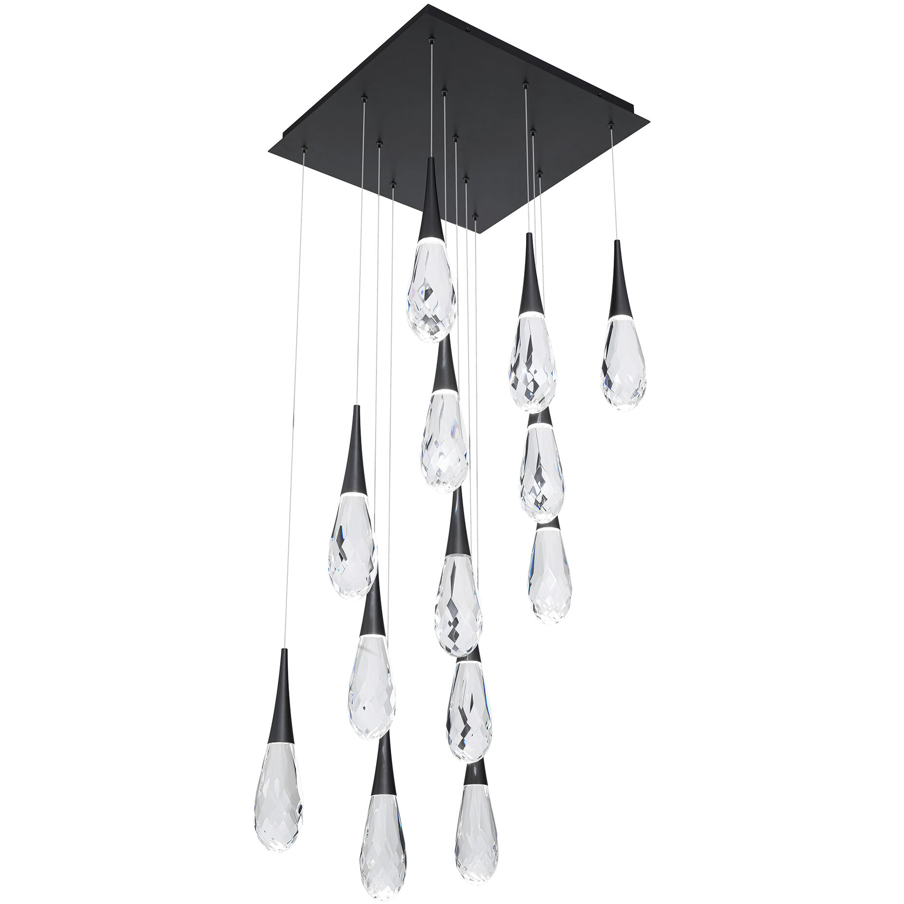 Beyond Hibiscus LED 20 inch Black Multi-Light Pendant Ceiling Light, Square Canopy