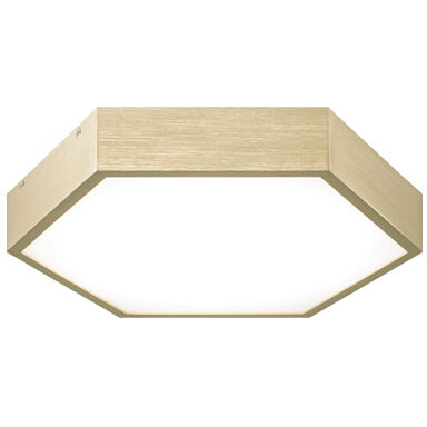 Hexol 1 Light 11.00 inch Flush Mount