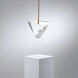 Forever Addesion LED 4 inch Polished Chrome Pendant Ceiling Light in Gold Rope, Gold Rope