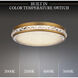 Signature Kristally LED 12 inch Aged Brass Flush Mount Ceiling Light