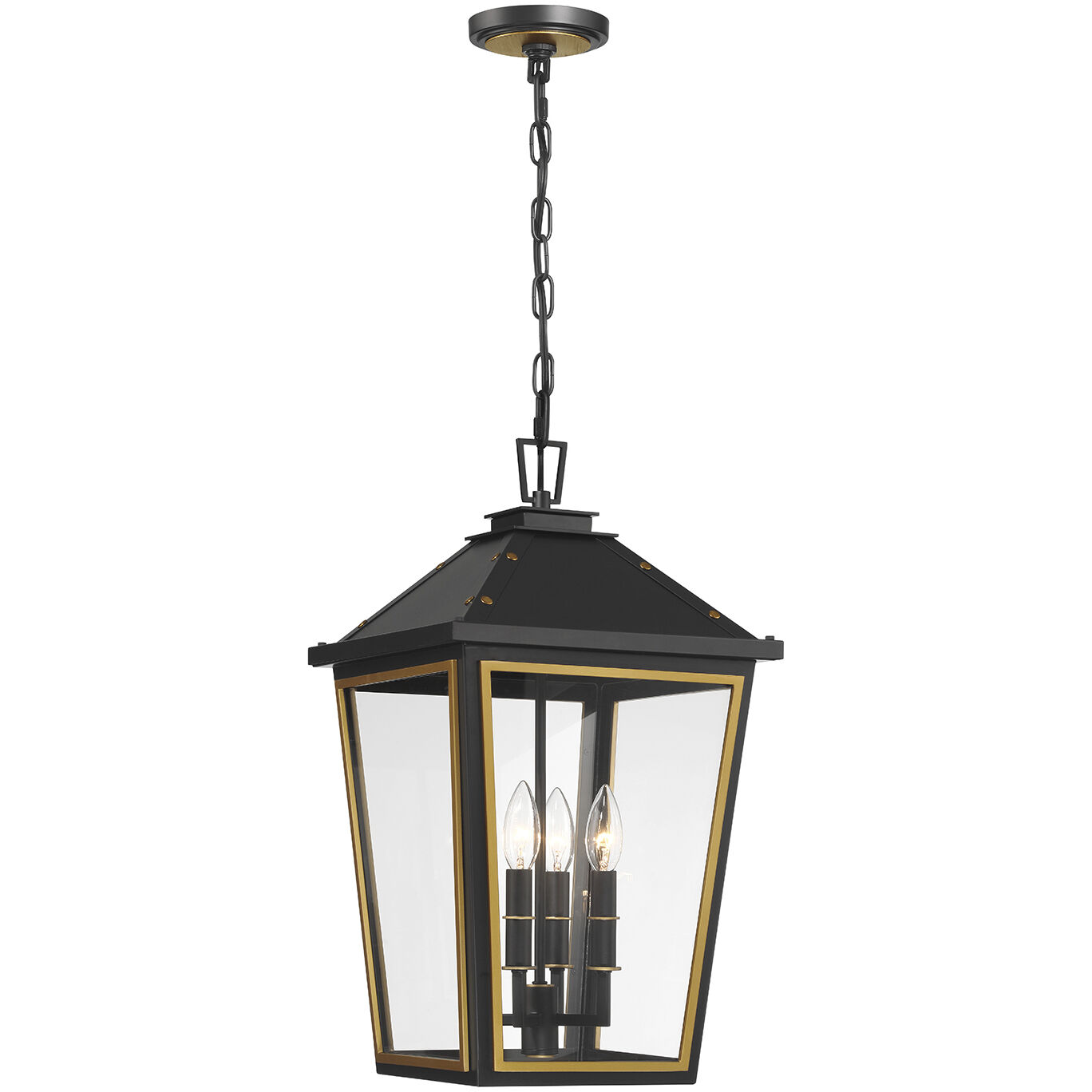 Hawkins 4 Light 12 inch Matte Black and Textured Gold Outdoor Pendant