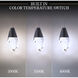 Beyond Martini LED 23 inch Black Multi-Light Pendant Ceiling Light in Optic Haze, Round Canopy