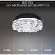 Beyond Bramble LED 11.88 inch Black Flush Mount Ceiling Light