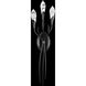 Signature Secret Garden LED 5.4 inch Black Wall Sconce Wall Light, Schonbek Signature