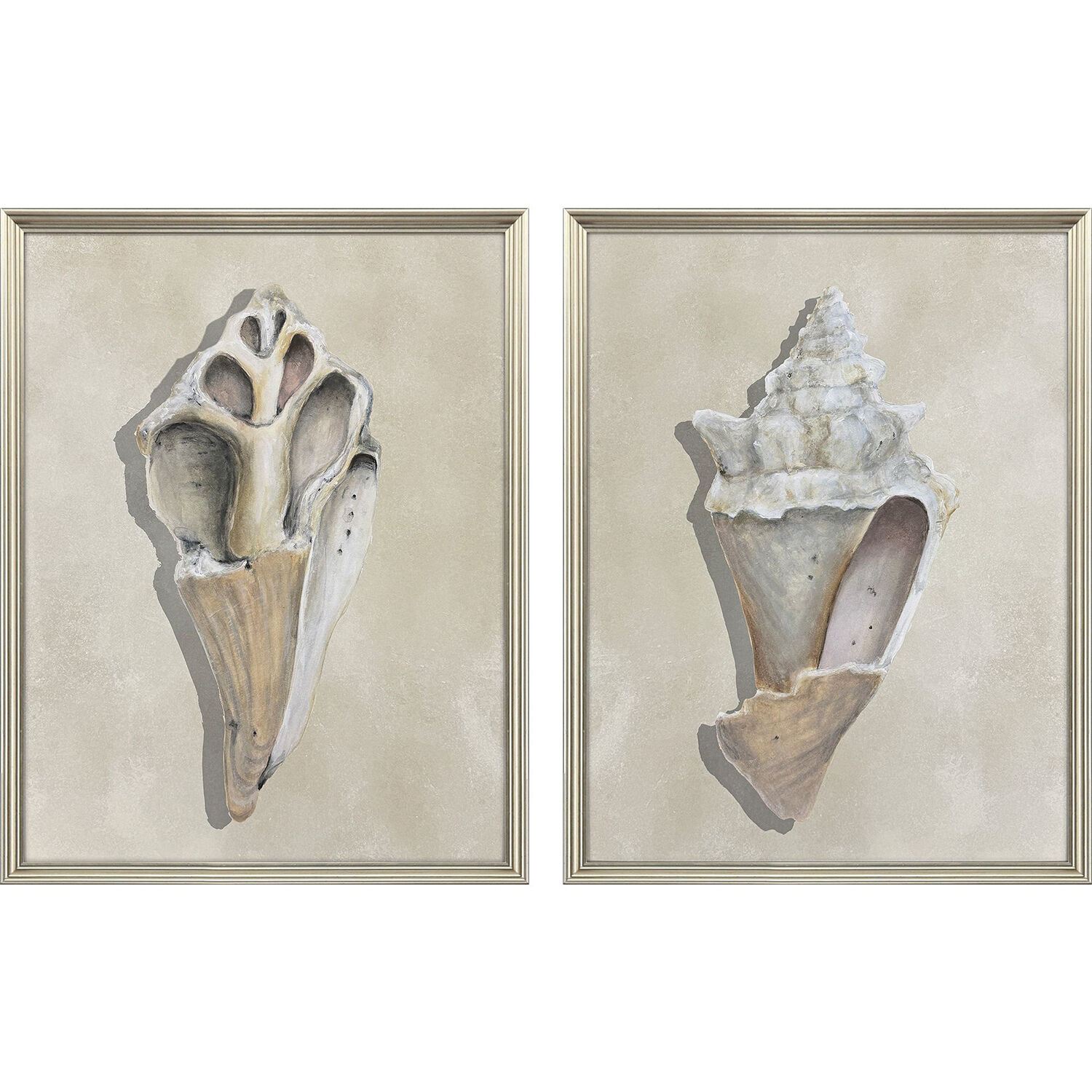 Broken Shells Gray and Beige and Brown and Neutral Framed Art