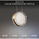 Beyond Bramble LED 9 inch Aged Brass Mini Pendant Ceiling Light
