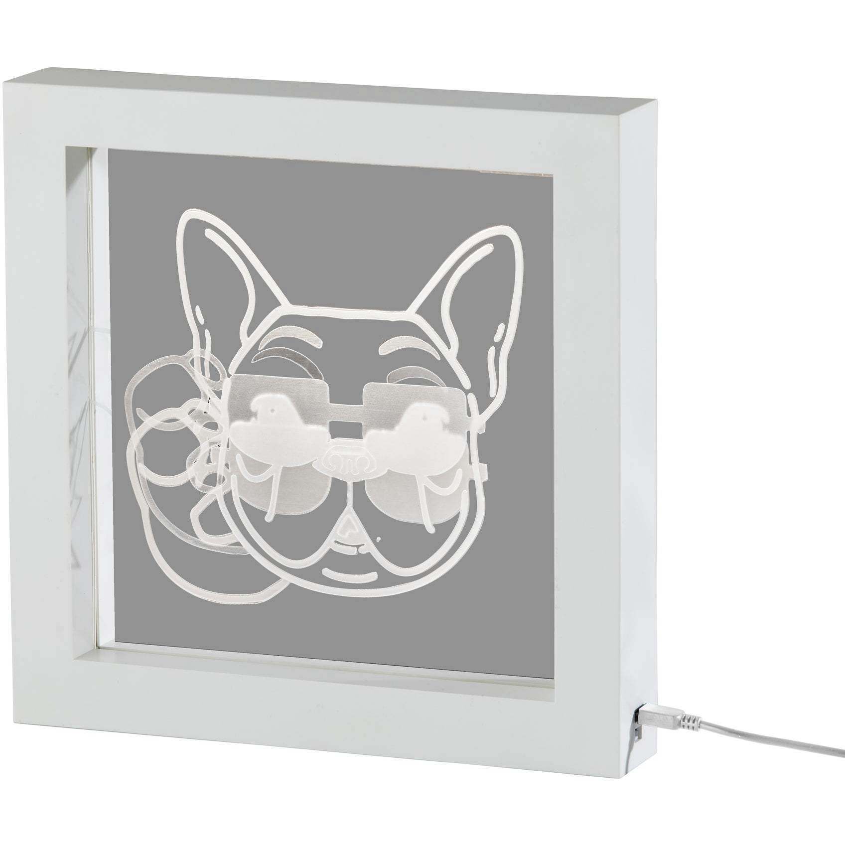 Cool Dog Video 9 inch 0.3 watt White Light Box Portable Light, Simplee Adesso