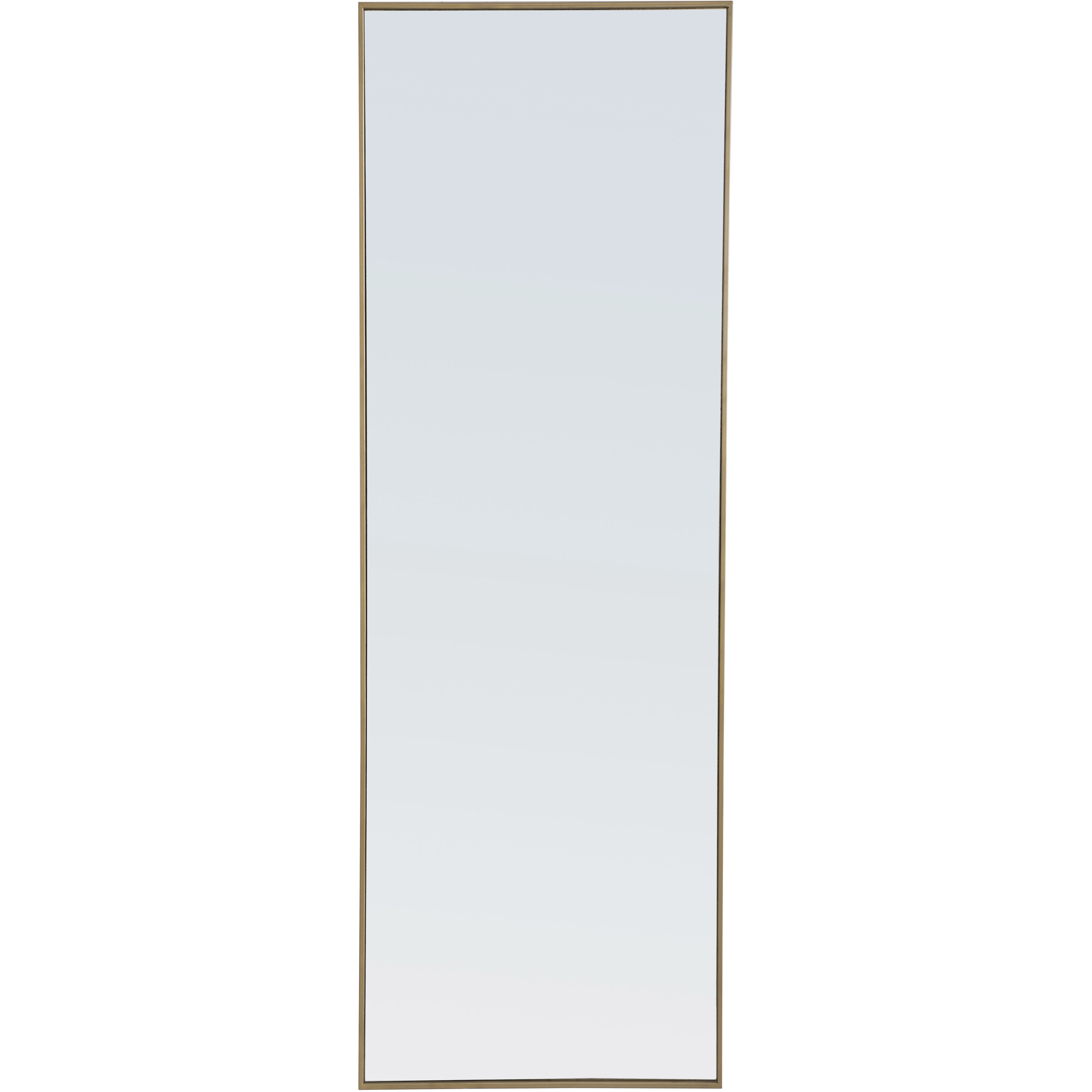 Monet 60 X 18 inch Brass Wall Mirror
