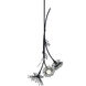 Forever Coquette LED 14 inch Black Pendant Ceiling Light